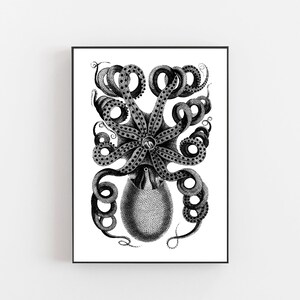 Octopus art poster, Vintage Sea food poster, Sea food print, Octopus poster, Cooking print, Restaurant poster, Restaurant vintage print