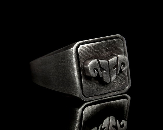 Braum Silver Ring Handmade League of Legends Champions Gift for Gamers Braums Shield Handmade Silver Ring Braums Mustache Gamers Accessories