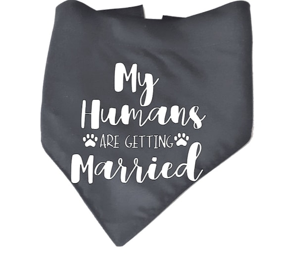 Hundehalstuch Für Hochzeit & Verlobung – Sicherheitsring-Aufdruck, Weiß, 45x45x66 Cm, Polyester