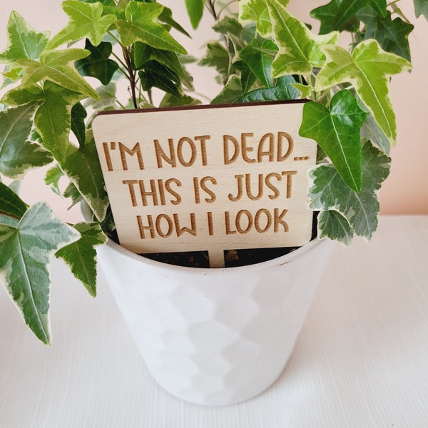 I'm Not Dead Plant Marker, Garden Markers, Garden Stake, Gift for Gardeners