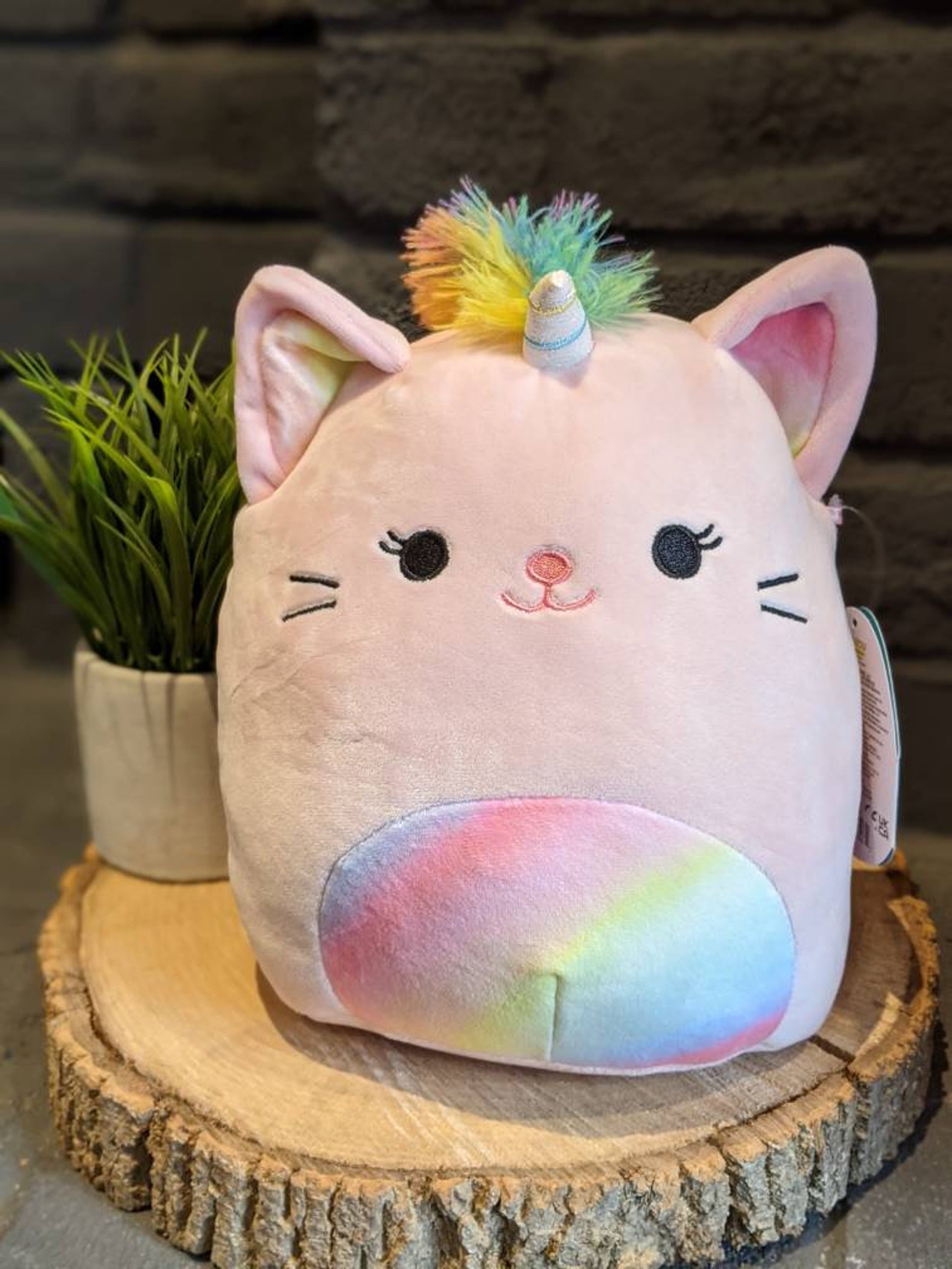 caticorn squishmallow name