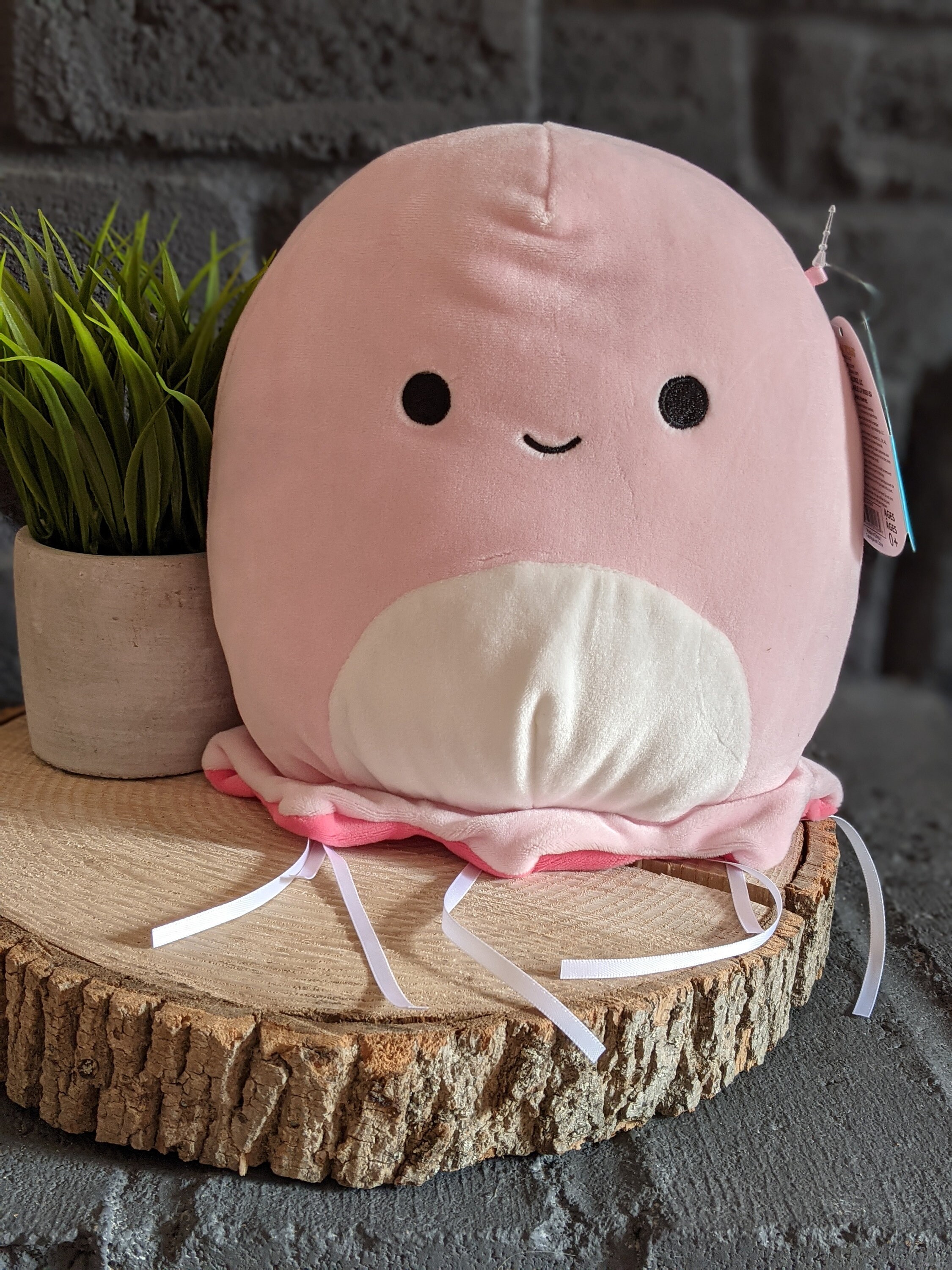 blue jellyfish squishmallow
