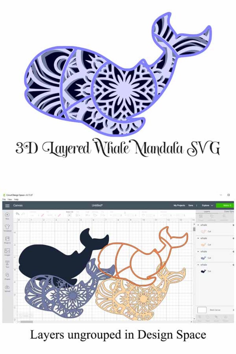 Download Sea Animal SVG Layered Mandala Bundle 5 designs Seahorse ...