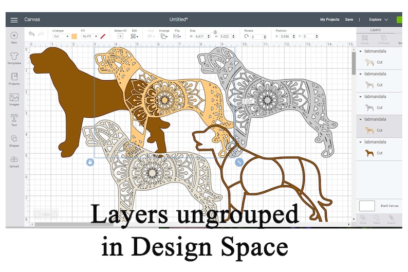 Download 3D Dog Mandala SVG file Labrador Retriever cut file 5 ...