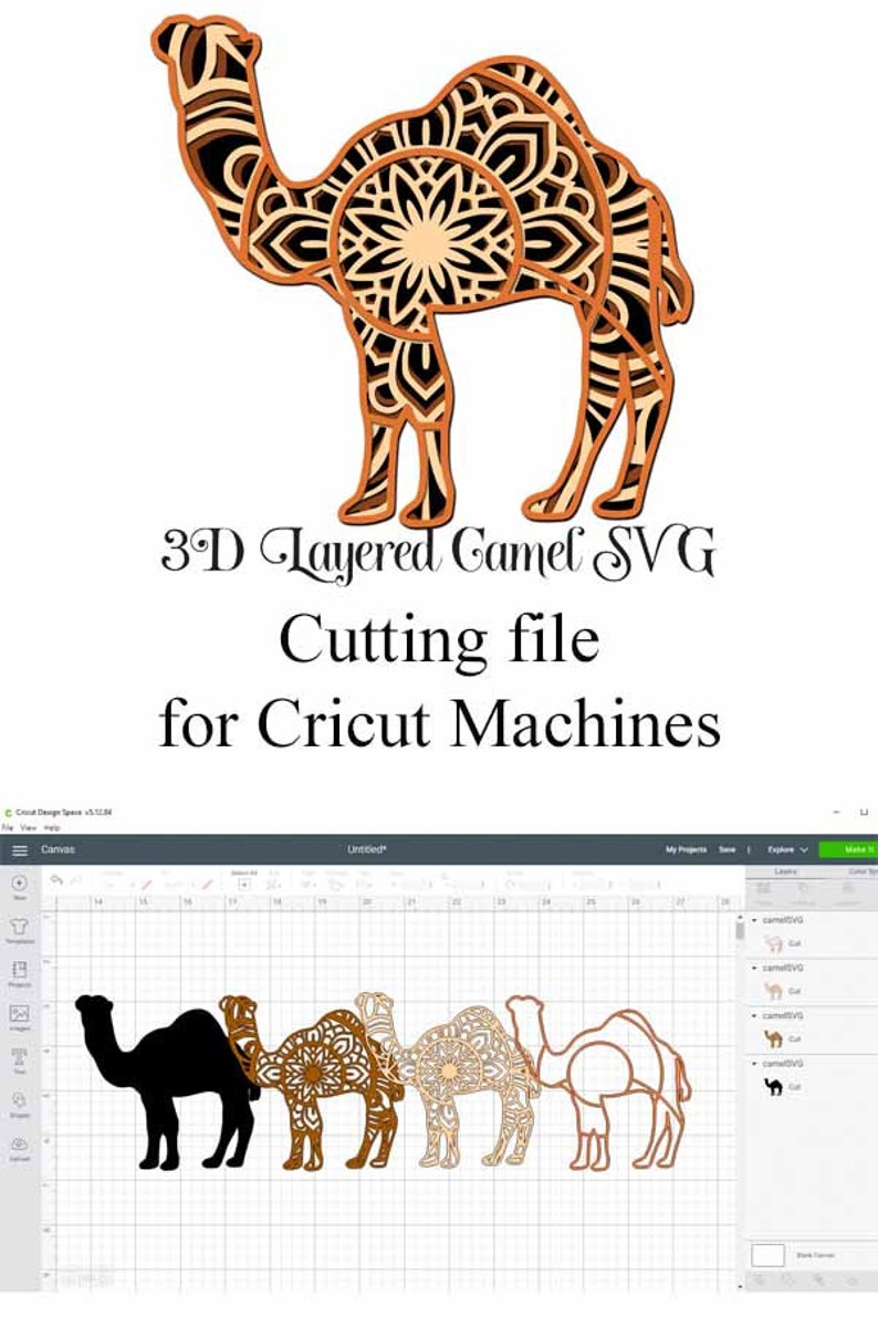 Download Zoo Animal SVG Layered Mandala Bundle Camel Tiger Bear | Etsy