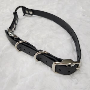 Ready to Ship: 3/4&quot; Wide E-Collar Strap with Quick Release and Bungee, Black