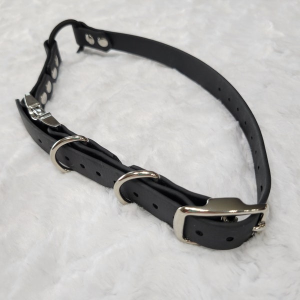 Ready to Ship: 3/4" Wide E-Collar Strap with Quick Release and Bungee, Black