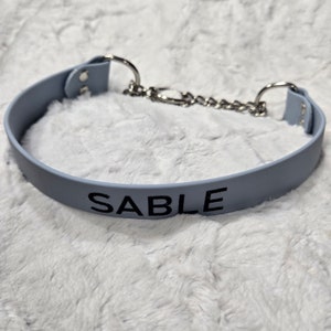 May include: A light blue dog collar with a silver chain and the name "SABLE" printed in black.