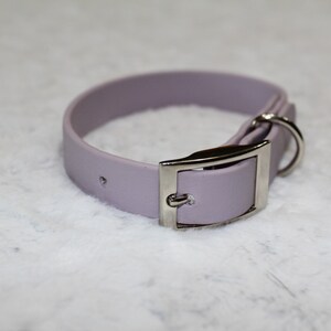 Ready to Ship-5/8&quot; Biothane Collar Lavender Lilac Adjusts 8&quot;-11&quot;