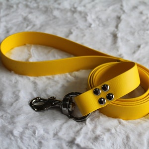 Ready to Ship-Heavy Duty 1&quot; Leash, 4 Foot Long, Yellow, Stainless Steel Upgrades
