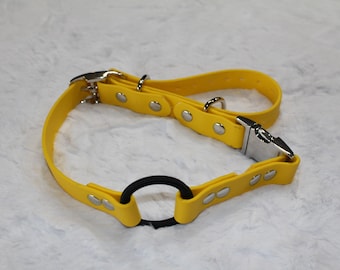 Ready to Ship: 3/4" Wide E-Collar Strap with Quick Release and Bungee, Yellow