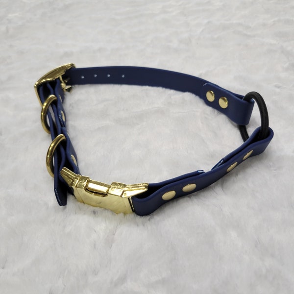 Ready to Ship: 3/4" Wide E-Collar Strap with Quick Release and Bungee, Navy Blue with Brass Plated Hardware