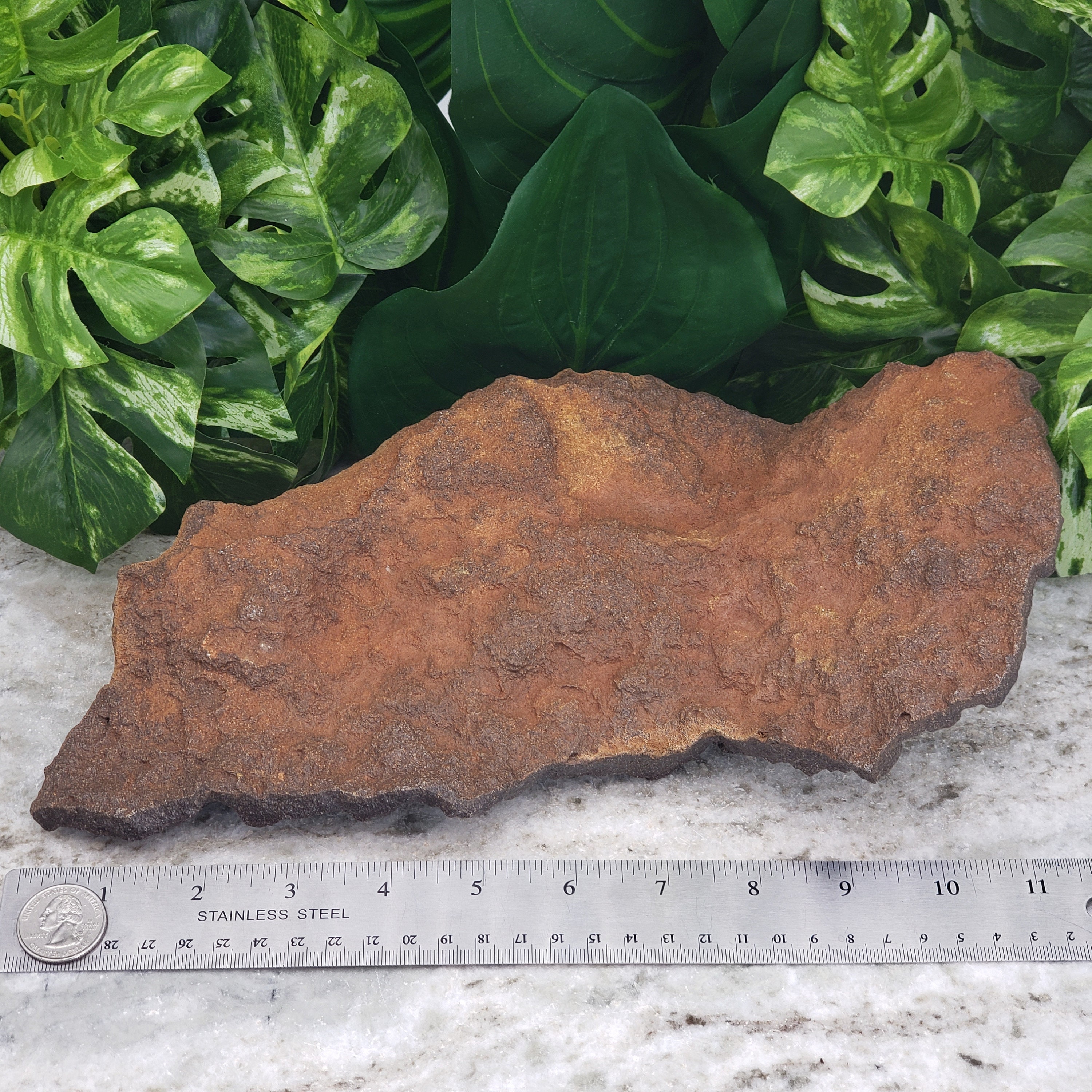 Ironstone Hematite Raw Extra Large 12.5 Iron Oxide Etsy