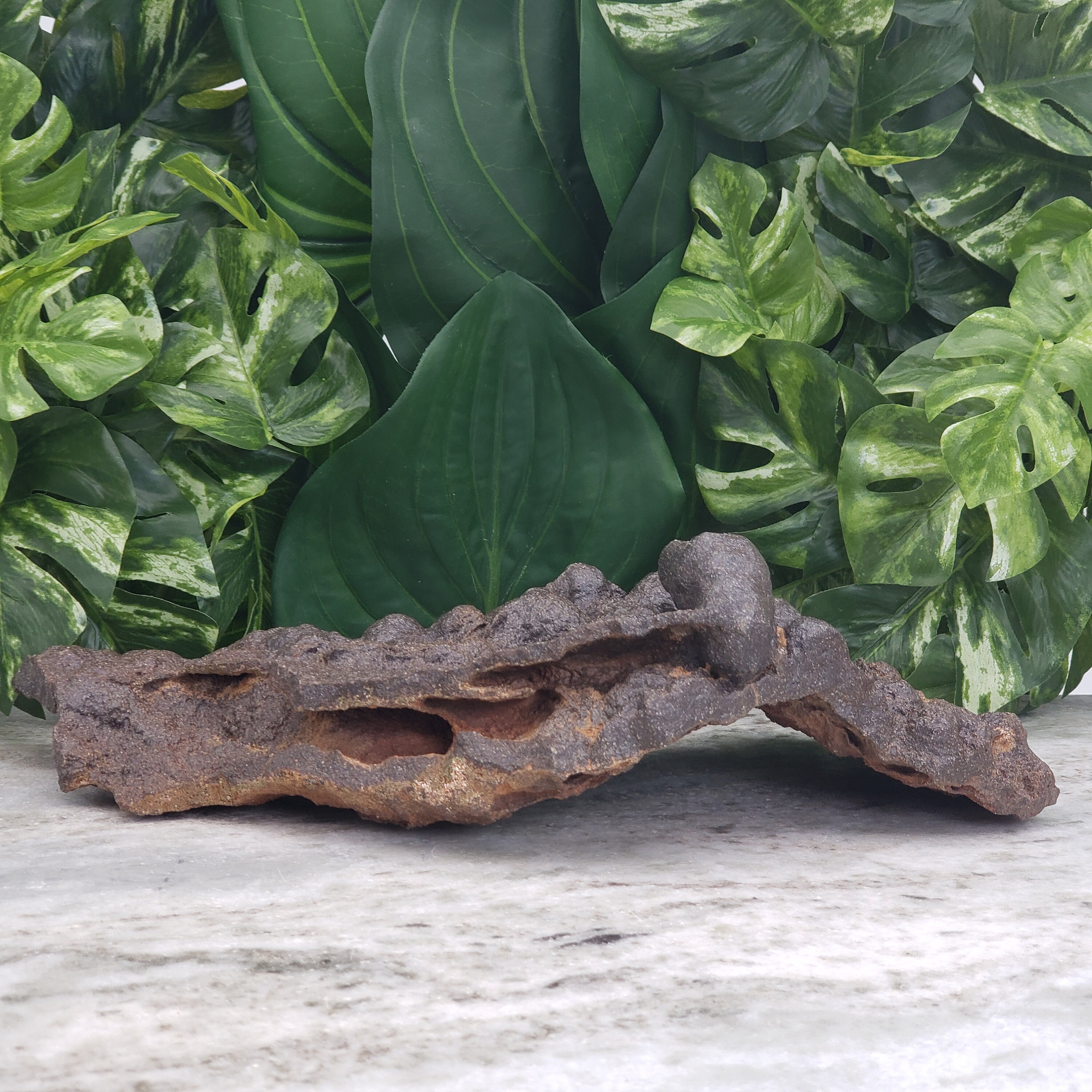 Ironstone Hematite Raw Extra Large 12.5 Iron Oxide Etsy