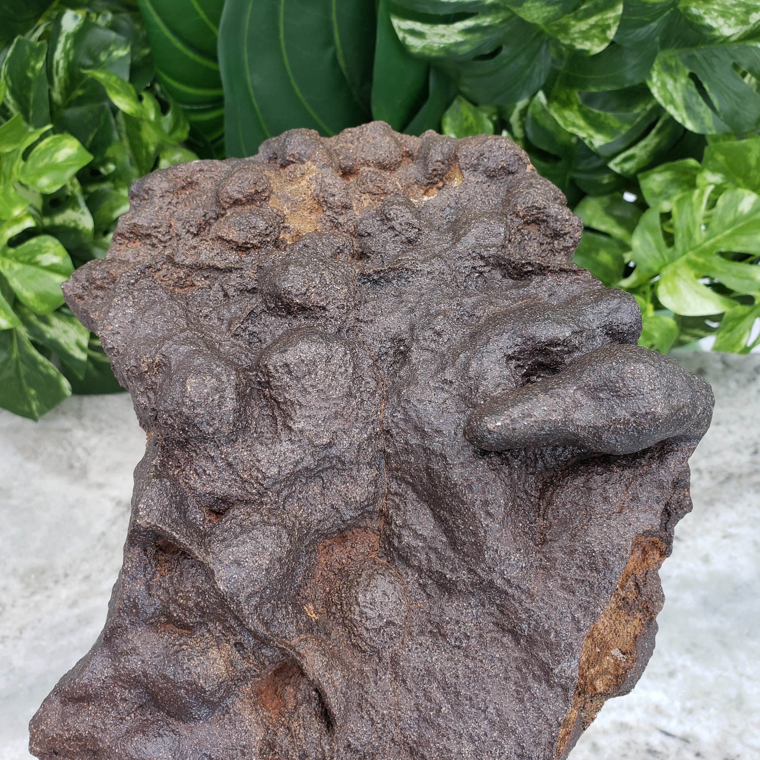 Ironstone Hematite Raw Extra Large 12.5 Iron Oxide Etsy