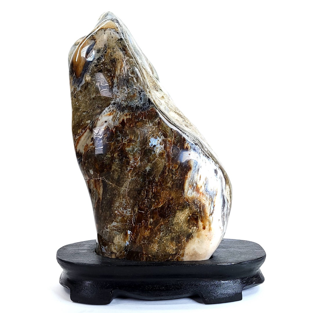 Petrified Wood Sculpture, Large Tall Freeform Home Decor Natural Fossilized Wood Carving