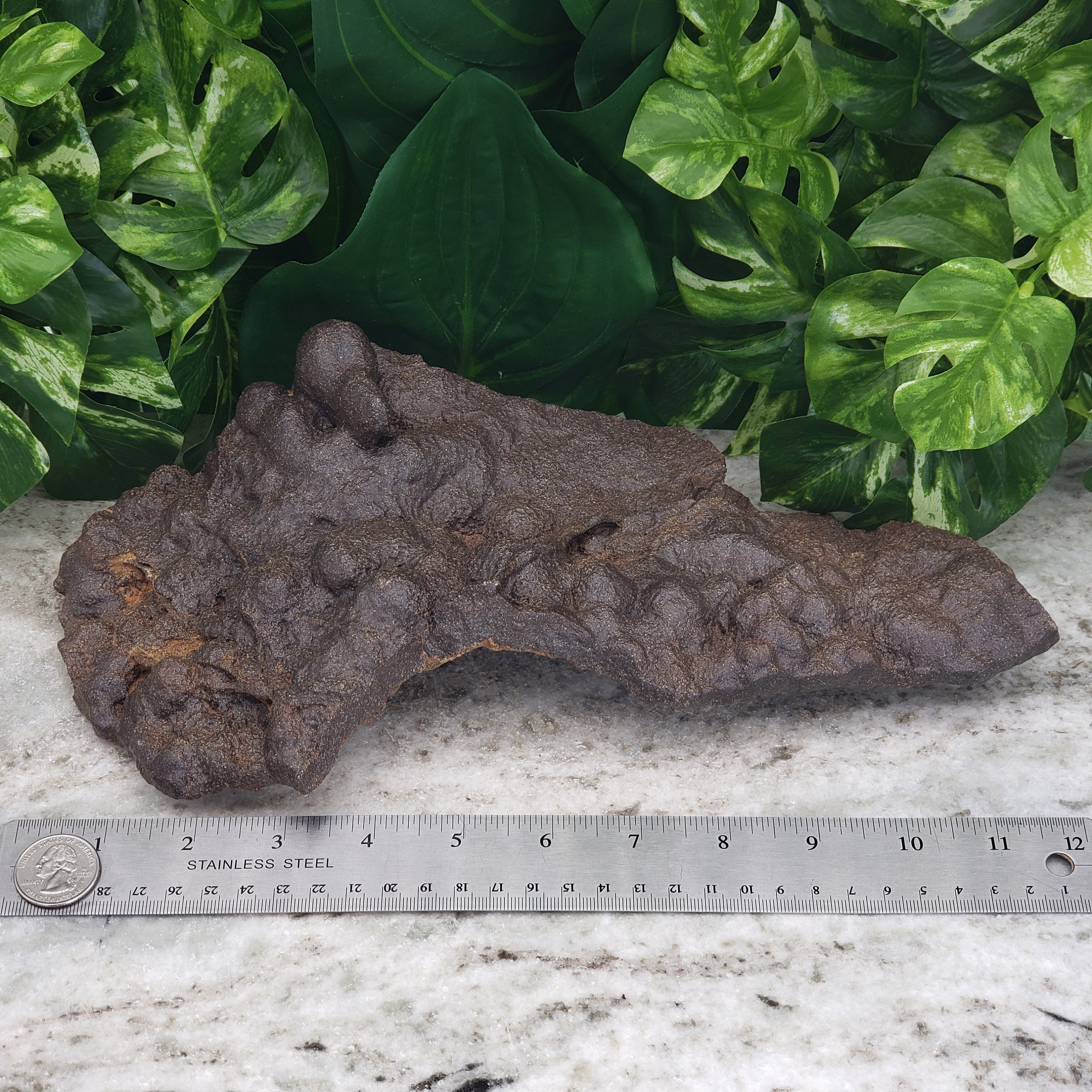 Ironstone Hematite Raw Extra Large 12.5 Iron Oxide Etsy