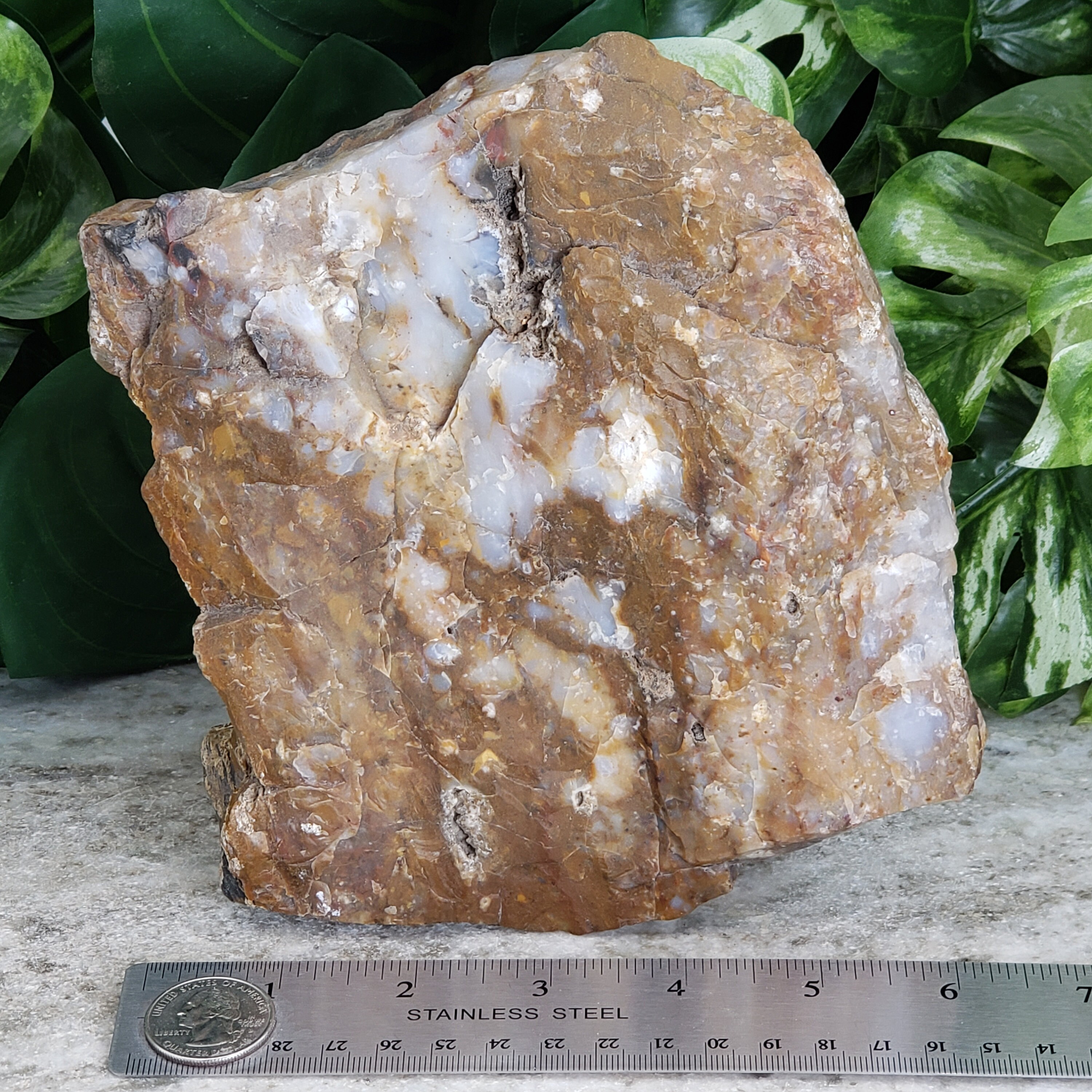 Raw Agate Quartz Crystal Geodes Large Rare Plume Agate | Etsy