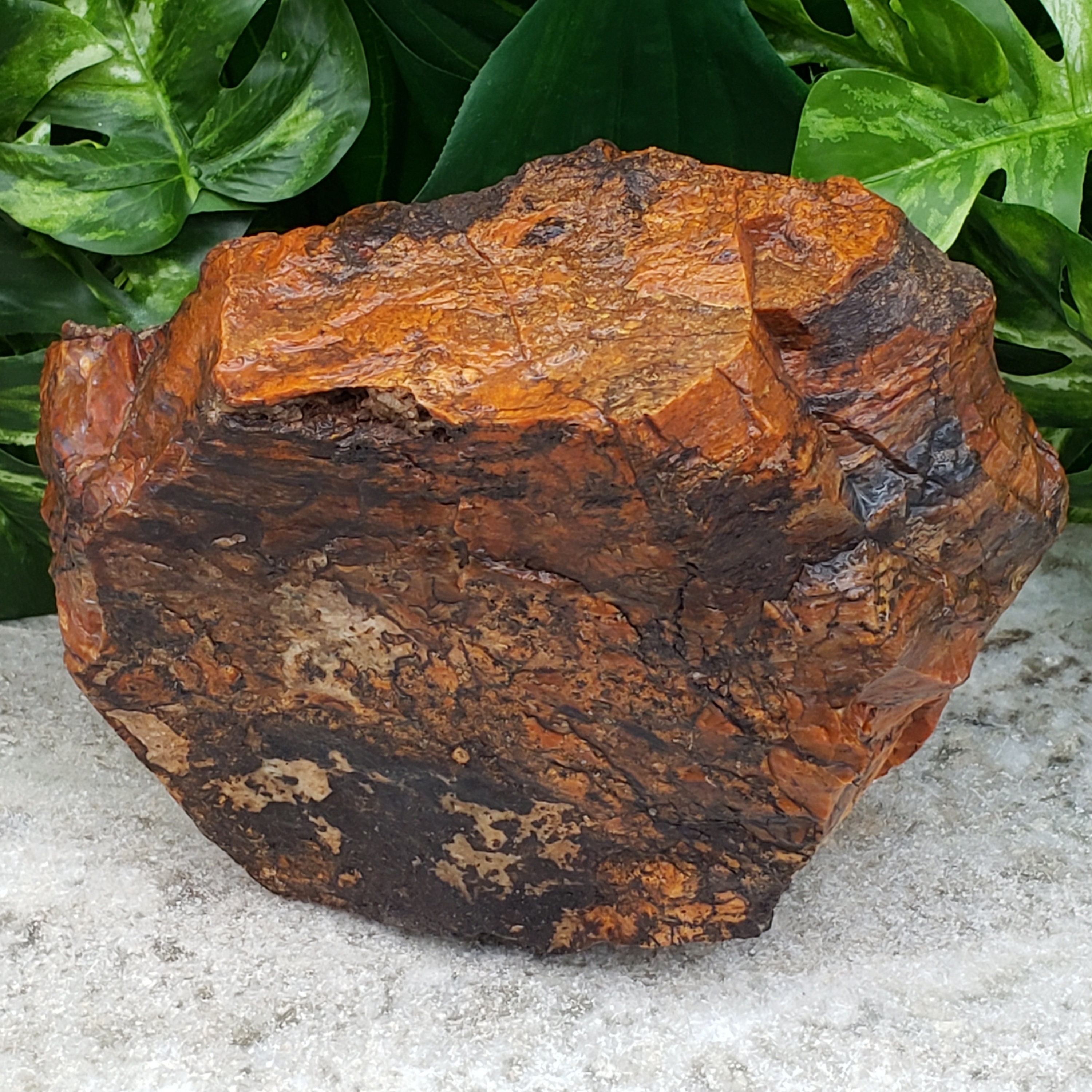 Top 101+ Pictures Pictures Of Agate Stones Stunning