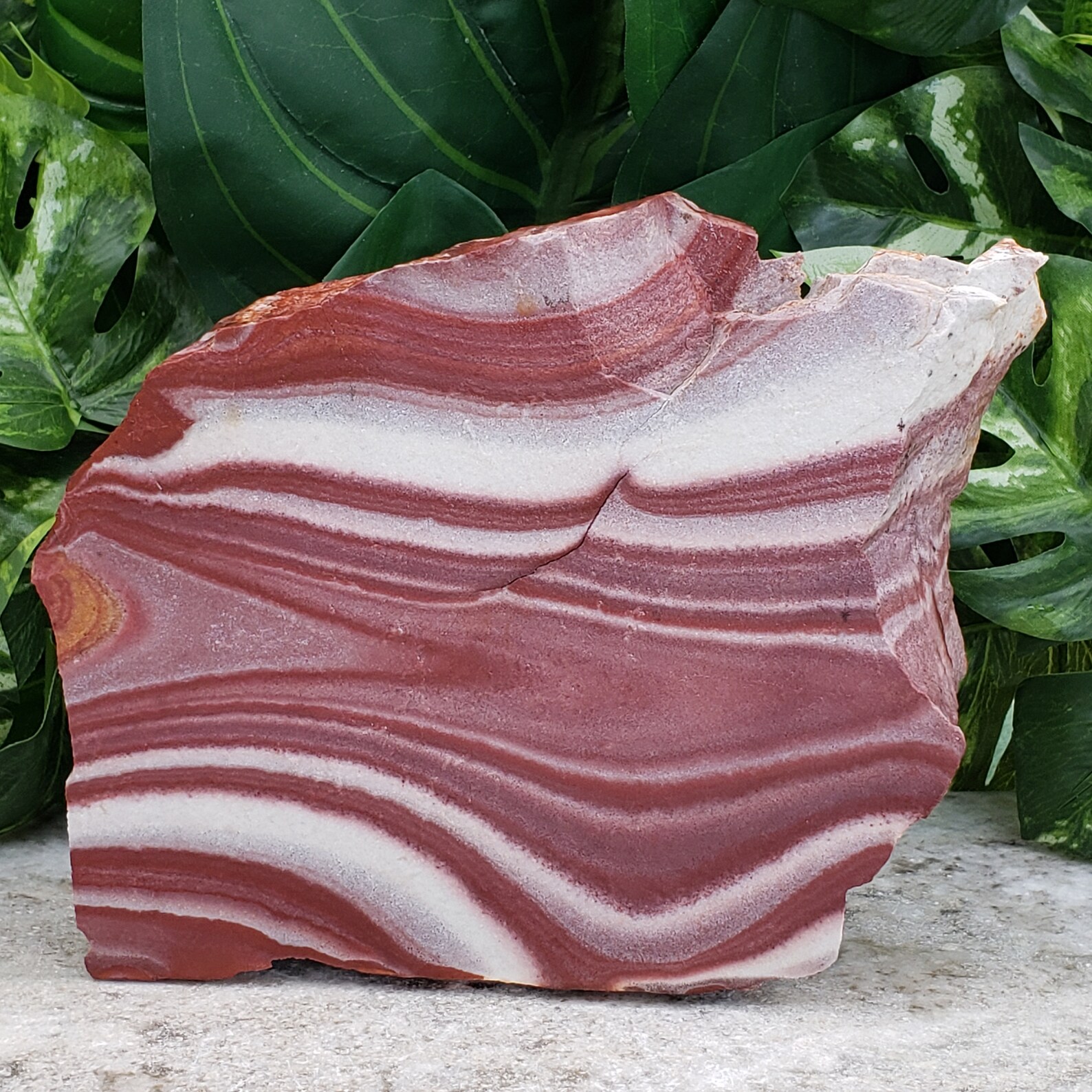 Wonderstone Banded Rhyolite Slab Gorgeous Large Utah | Etsy