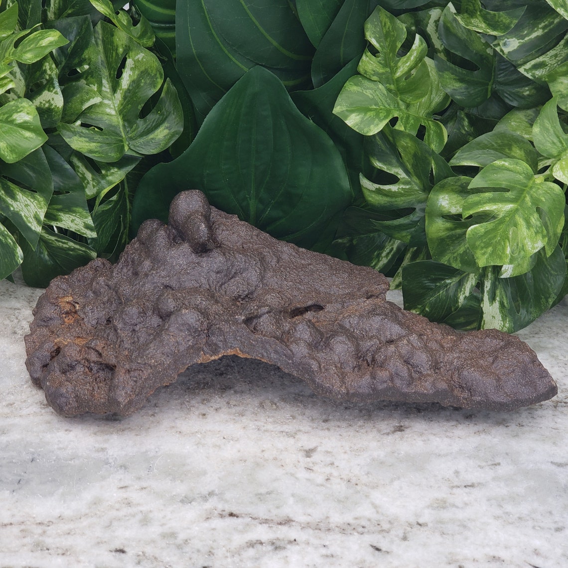 Ironstone Hematite Raw Extra Large 12.5 Iron Oxide Etsy