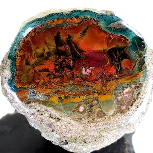 May include: A polished stone cross-section displaying a rich palette of colours. The core is dominated by deep reds and oranges, encircled by bands of yellow, green, and blue. The outer edge is a light, speckled grey. The stone's complex patterns create a unique natural artwork.
