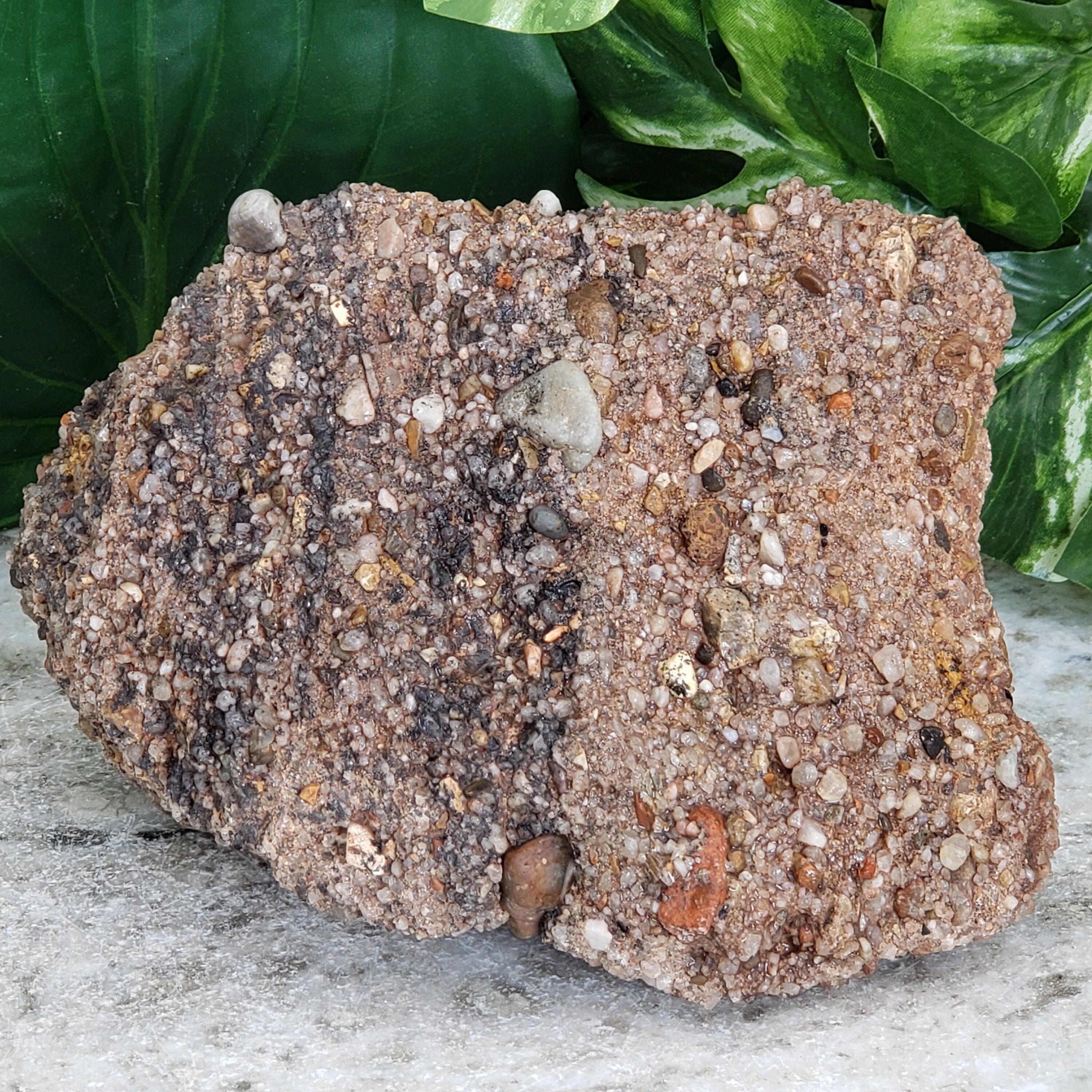 Conglomerate Rocks Quartz Gemstone Matrix Large Rare Utah Etsy