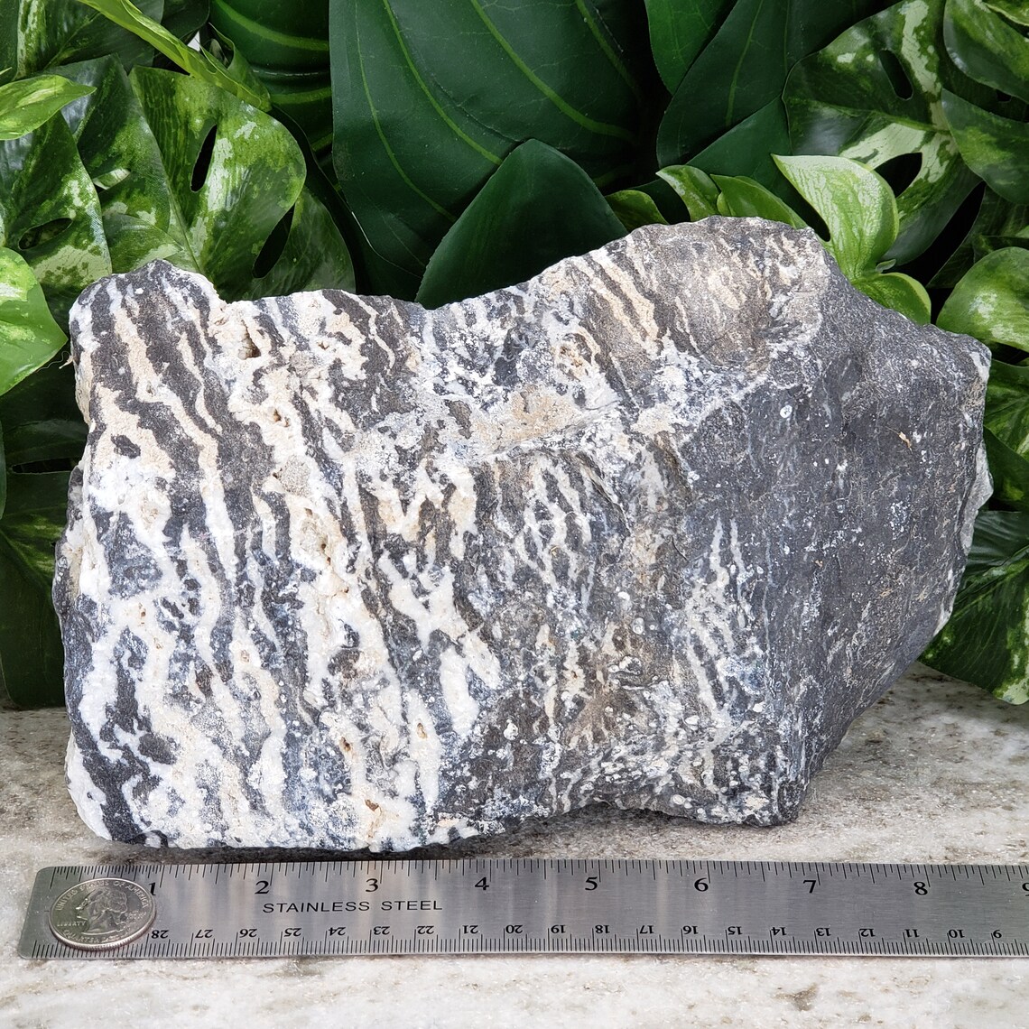 Zebra Marmor Zebra Jaspis Großer 95 GartenOrnament Etsy