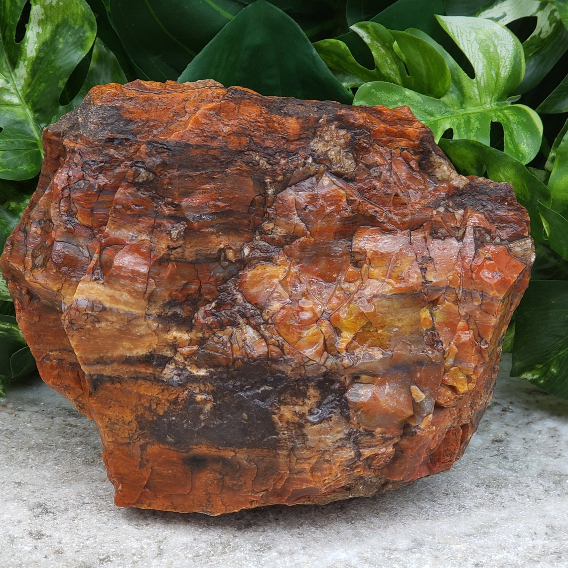 Raw Agate Raw Chalcedony Large 7 Rough Agate Stone Etsy