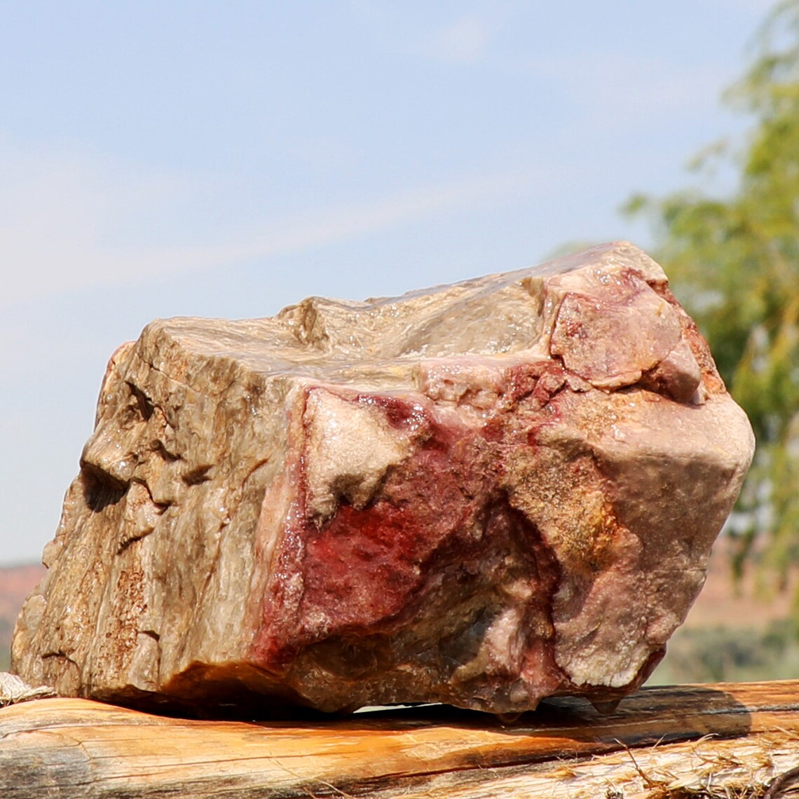 Zebra Marble Stone Raw Rough Natural Utah Quartzite & Etsy