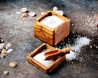 May include: Two wooden salt cellars filled with white sea salt, one with a small wooden scoop. The cellars are on a dark gray textured surface with scattered sea shells and pink Himalayan salt.