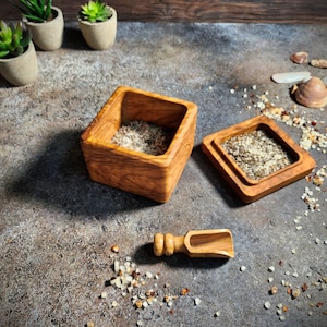 Olive Wood Salt Cellar With Lid and spoon of salt, Wooden Salt Holder with lid usable on table, Handmade Salt Container wooden Pinch Bow