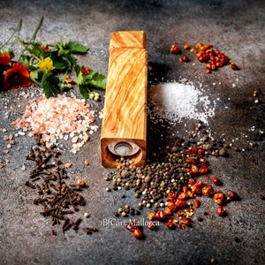 Pode incluir: Um moinho de pimenta de madeira com acabamento de gr&atilde;o de madeira natural est&aacute; sobre uma superf&iacute;cie cinza rodeado de v&aacute;rias especiarias, incluindo sal rosa do Himalaia, sal branco, gr&atilde;os de pimenta preta, gr&atilde;os de pimenta vermelha e cravos.