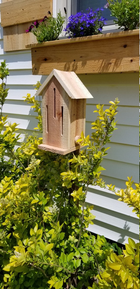 Butterfly House Kit