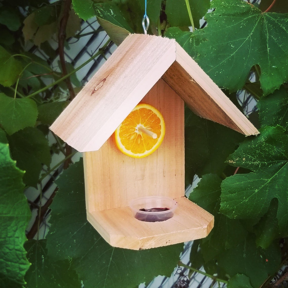 DIY Oriole Bird Feeder Kit/ Father's Day Gift/ Garden Etsy