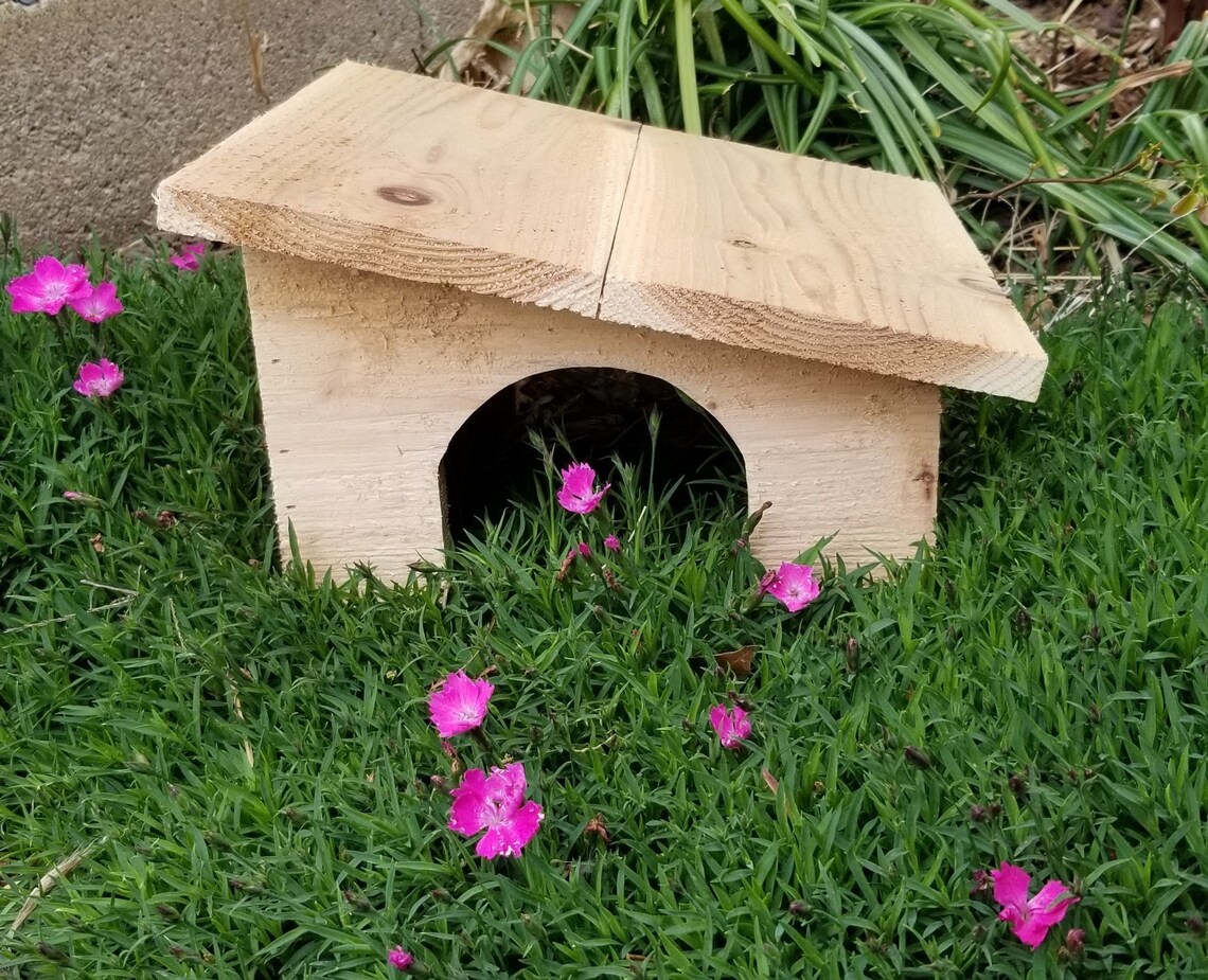 Toad House DIY Kit / Toad home / Kid Craft / Habitat Project / Etsy