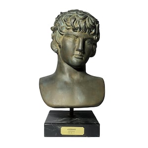 Antinous buste sculptuur oud-Romeins Grieks mannelijk standbeeld gips klassiek hoofd