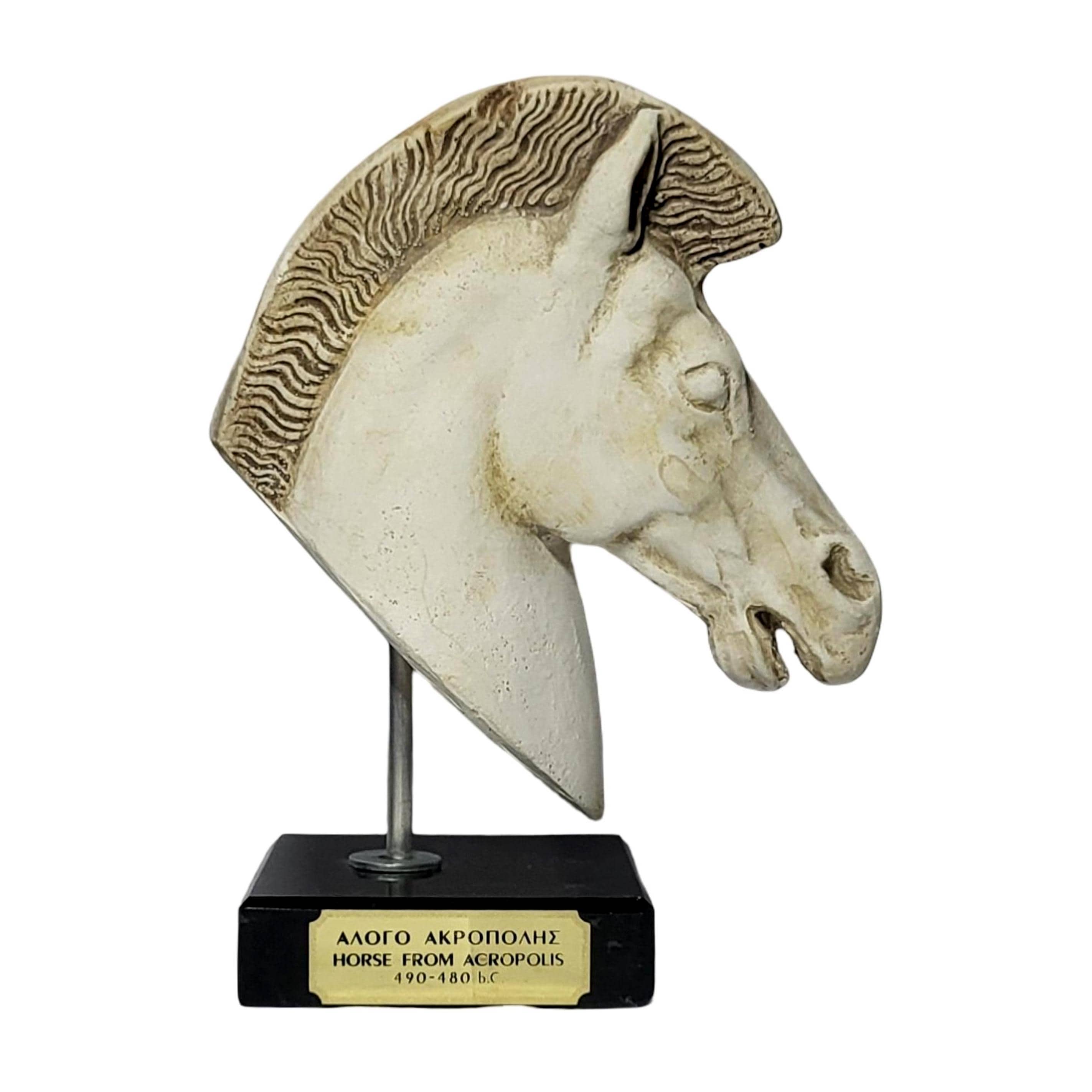 アクロポリスの馬の頭 大理石の台座に置かれた古代ギリシャの彫刻