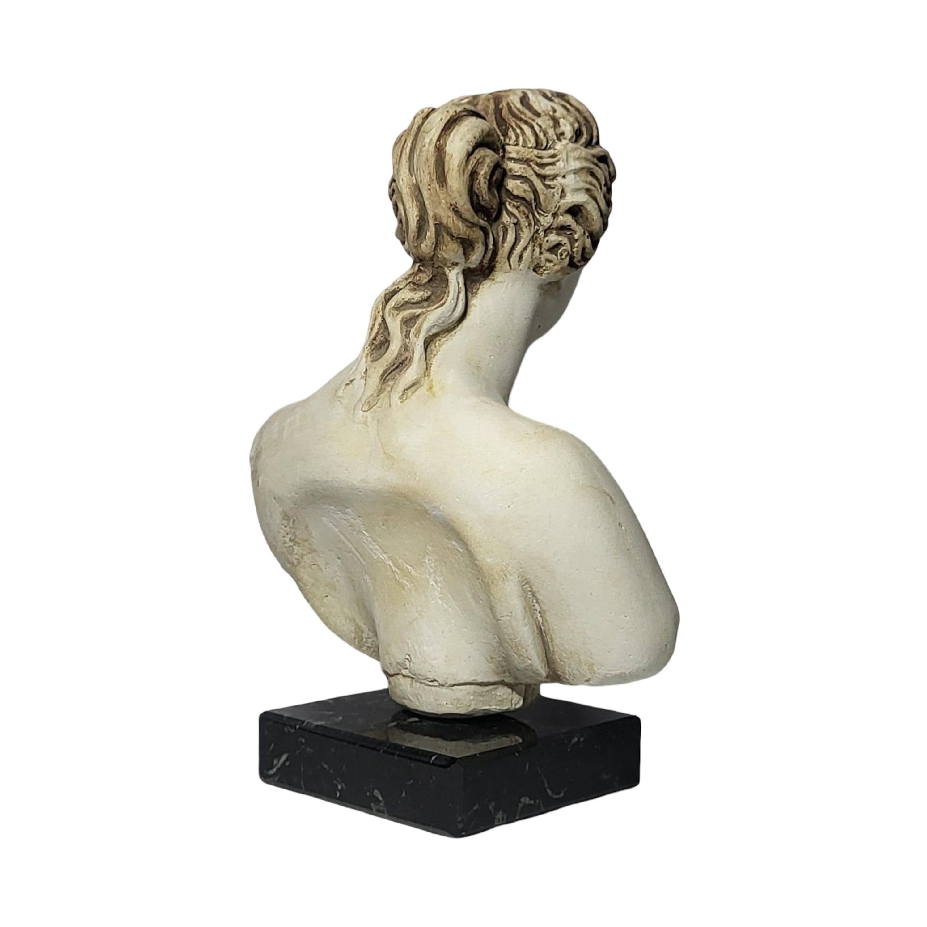 アフロディーテの胸像彫刻 ギリシャの女神ヴィーナス 石膏像 古代