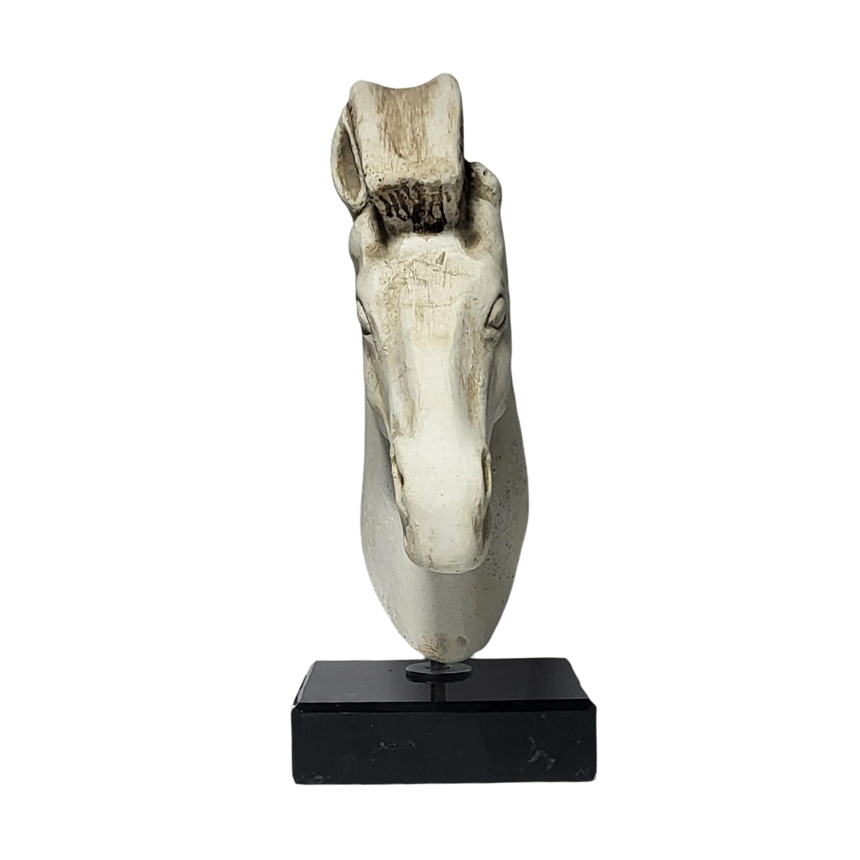 アクロポリスの馬の頭 大理石の台座に置かれた古代ギリシャの彫刻