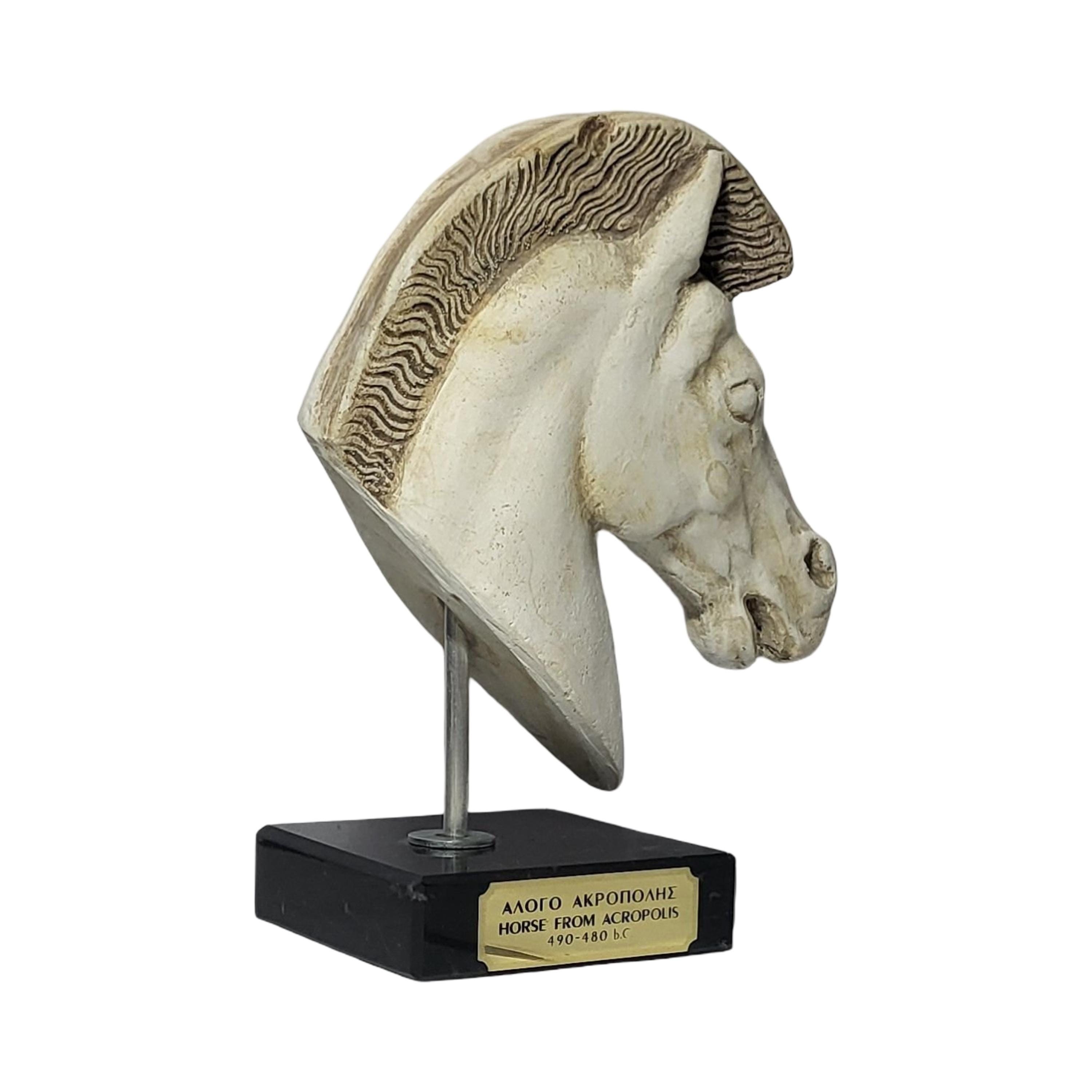 アクロポリスの馬の頭 大理石の台座に置かれた古代ギリシャの彫刻