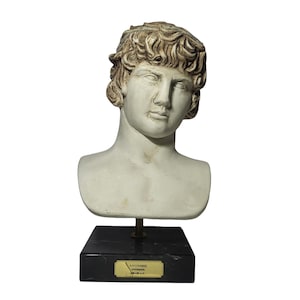 Antinous Buste Sculptuur Oud-Romeins Grieks Mannelijk Standbeeld Gips Klassiek Hoofd 11,41&quot;