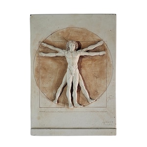 Vitruvian Man Wall Relief Leonardo da Vinci Human Proportions Handmade Plaque