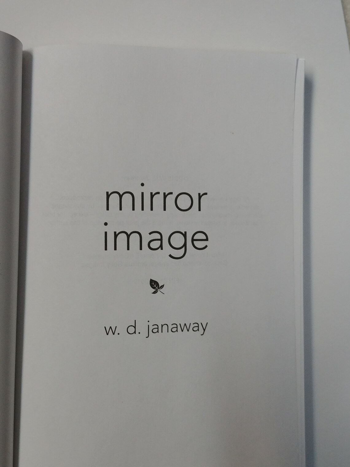 Book Mirror Image Contemporary Fiction Novel Etsy