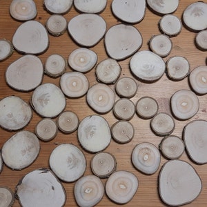 Könnte beinhalten: Eine Sammlung runder Holzscheiben in verschiedenen Größen, von klein bis groß, mit einem natürlichen Holzmaserungsmuster. Die Scheiben sind in einem zufälligen Muster auf einer hellbraunen Holzoberfläche angeordnet.