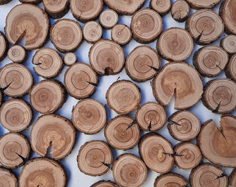 Lilac branch slices Ø 1 - 6 cm, thickness 12 mm, from 10 pieces - dry, wood slices