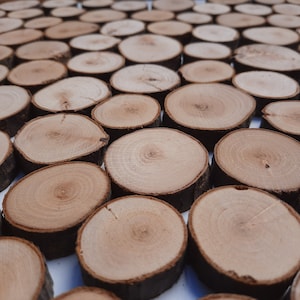 Könnte beinhalten: Nahaufnahme einer Sammlung von natürlichen Holzscheiben, die in einem Muster angeordnet sind. Die Holzscheiben sind in verschiedenen Größen und Formen, mit einer hellbraunen Farbe und einer natürlichen Holzmaserung.