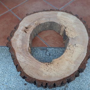 Könnte beinhalten: Eine kreisförmige Holzscheibe mit einem Loch in der Mitte, die die natürliche Maserung und Textur des Holzes zeigt. Der äußere Rand hat eine dunkle, raue Rinde, während der innere Bereich eine hellere Farbe hat. Dieses rustikale Stück.