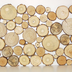 Könnte beinhalten: Eine Sammlung runder Holzscheiben in verschiedenen Größen und Farben, die in einem Muster auf weißem Hintergrund angeordnet sind. Das Holz ist hellbraun mit dunkleren braunen Ringen.