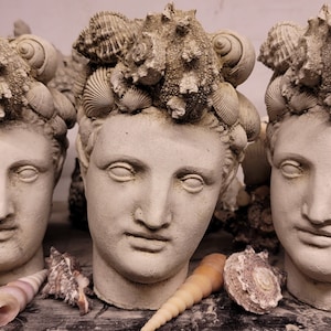 May include: Three gray plaster busts with seashells on their heads. The busts are arranged in a row and are facing forward. The shells are a variety of shapes and sizes.